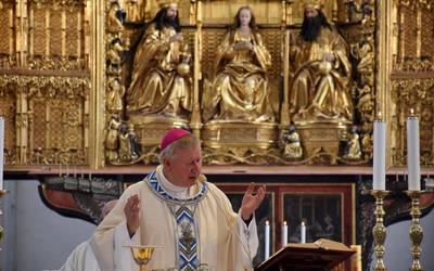 Bp Szlachetka: Maryjo Wniebowzięta, Zwycięska, módl się za nami!