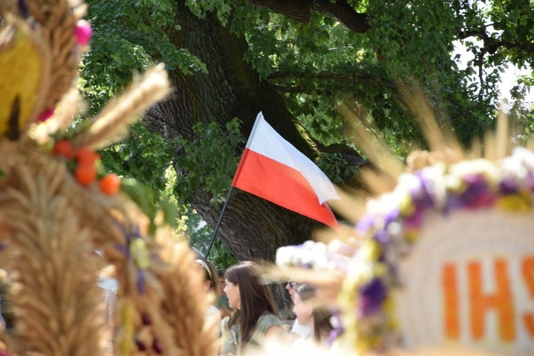 Dożynki powiatowo-gminne w Wieniawie