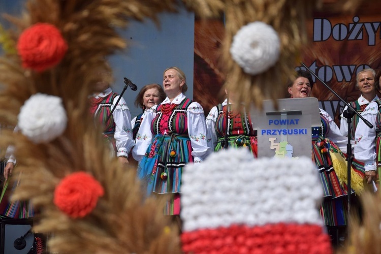 Dożynki powiatowo-gminne w Wieniawie