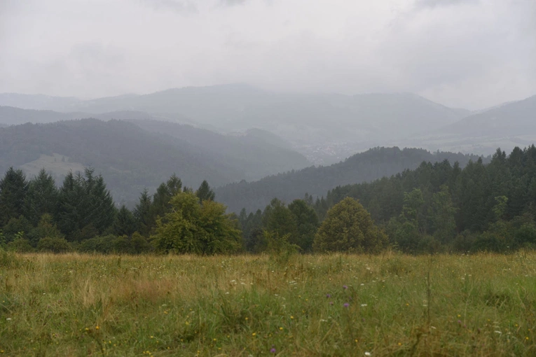 Wyjedź ze mną do lata...