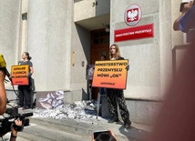 Katowice. Aktywiści pod Ministerstwem Przemysłu. Reagują w sprawie śniętych ryb