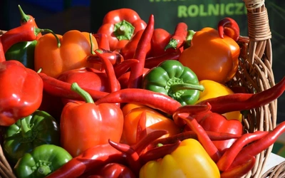 W tej części Polski króluje tylko papryka