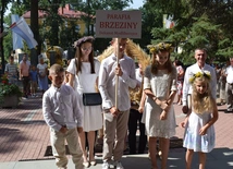 Diecezjalne dziękczynienie za chleb
