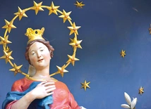 	Wspólne pielgrzymowanie zakończy się u Matki Bożej Brzemiennej.