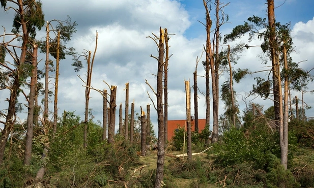 Za cierpiącą ziemię