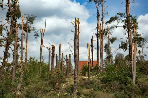 Za cierpiącą ziemię