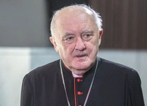 Kard. Nycz o rozmowach z MEN nt. religii: Jedna strona jest głucha