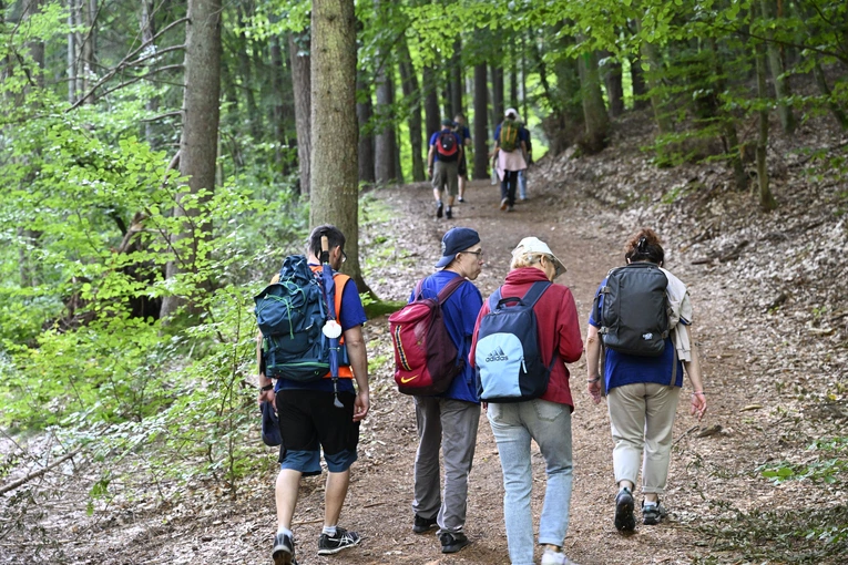 Rowokół Camino