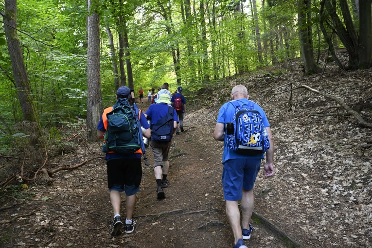Rowokół Camino