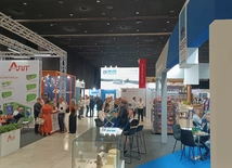 Katowice. Ruszyły 20. Międzynarodowe Targi EXPO 