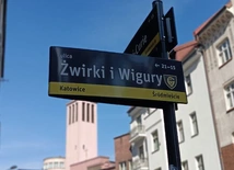Katowice. Wlepeki z logiem GKS praktycznie na każdej tabliczce w mieście 