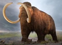 Mamut. Tak mógł wyglądać