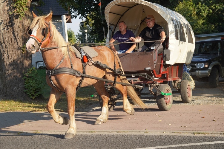 XVI Archidiecezjalna Pielgrzymka Sympatyków i Miłośników Koni