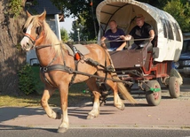 Łozina. Koniarskie dożynki