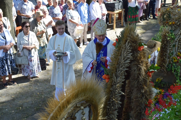 Doroczny odpust maryjny w Janowie Lubelskim