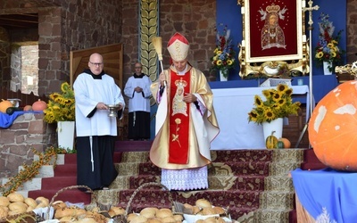 Diecezjalne dziękczynienie za plony w Kałkowie-Godowie