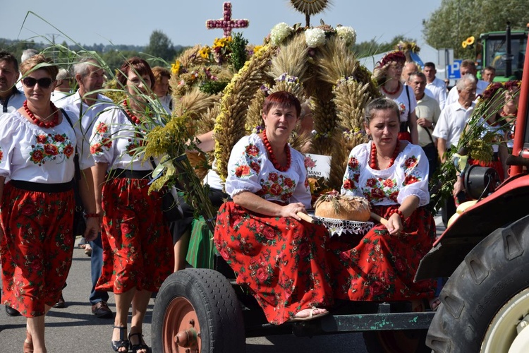 Dożynki diecezjalne w Kałkowie-Godowie