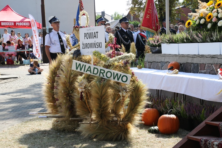 Żuromin. Odpust i dożynki