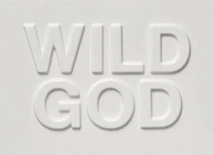 Nick Cave & The Bad Seeds Wild God Bad Seed Ltd 2024