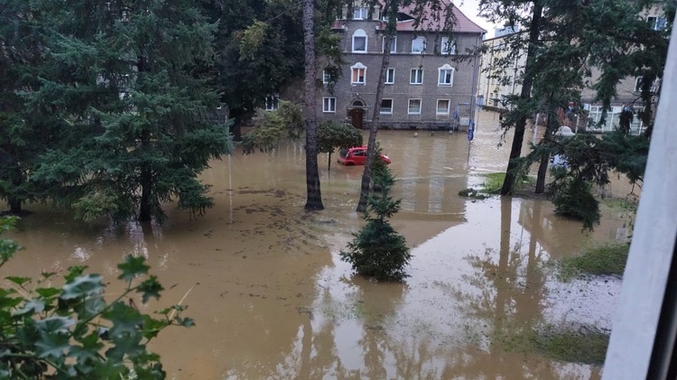 Nysa, 15 września....