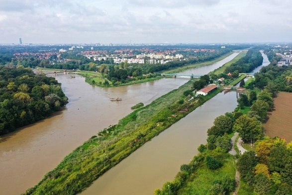 Wysoki stan wody w Odrze w okolicach Jazu Opatowickiego we Wrocławiu, aktualne zdjęcie z 16 września