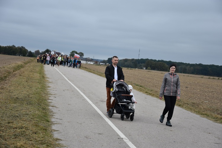 Pielgrzymka dzieci. W drodze do Rostkowa