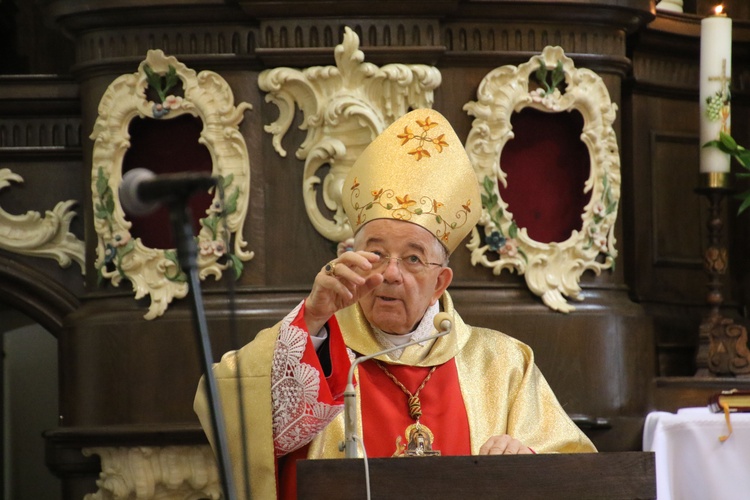 Płock. Obraz Jezusa Miłosiernego w kościele św. Jana Chrzciciela