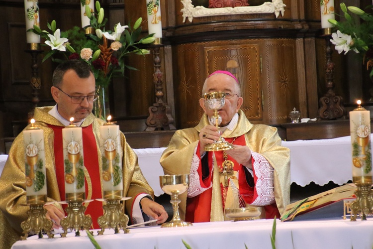 Płock. Obraz Jezusa Miłosiernego w kościele św. Jana Chrzciciela