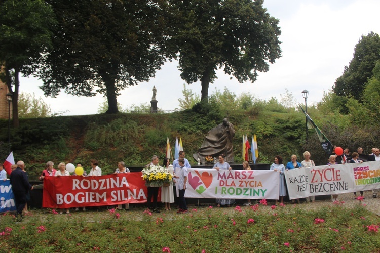 Ciechanów. Marsz dla Życia i Rodziny