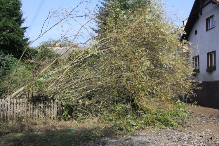 Zniszczenia po powodzi. Opawica, Lenarcice, Krasne Pole, Chomiąża