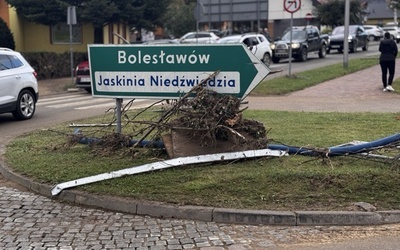 Zapomniany Bolesławów prosi o pomoc