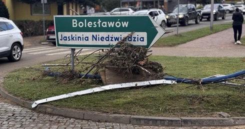 Zapomniany Bolesławów prosi o pomoc