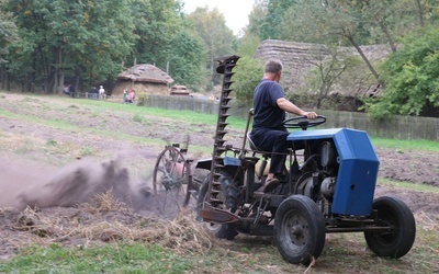 Radomski skansen zaprasza na Festiwal Ziemniaka