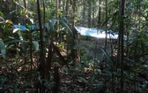 Kolumbia