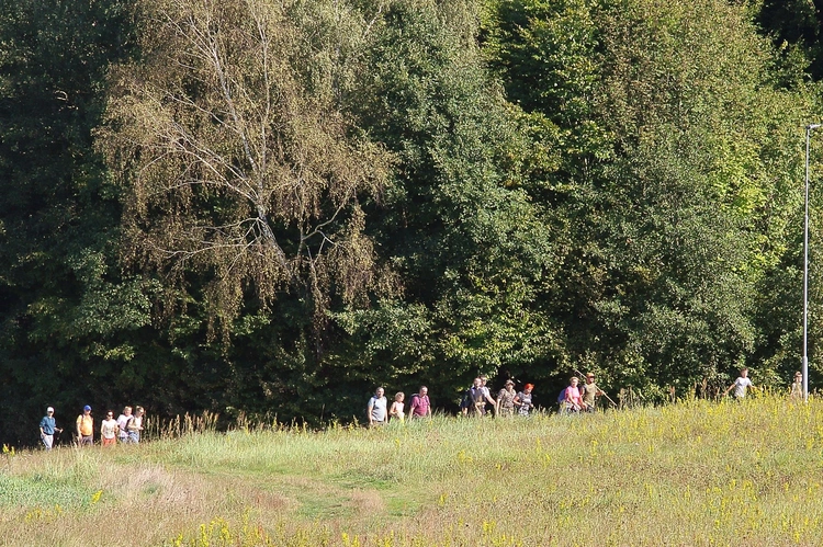 Dzień Wspólnot Parafialnych