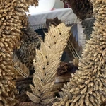 Korony żniwne i plony ziemi w Lubecku