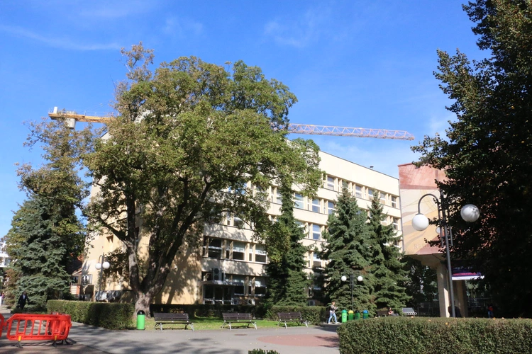 Rozpoczyna się jubileusz Uniwersytetu Ekonomicznego w Krakowie