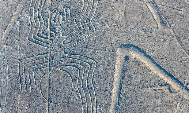 Pająk. Jeden z geoglifów Nazca