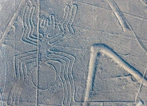 Pająk. Jeden z geoglifów Nazca