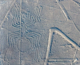 Pająk. Jeden z geoglifów Nazca