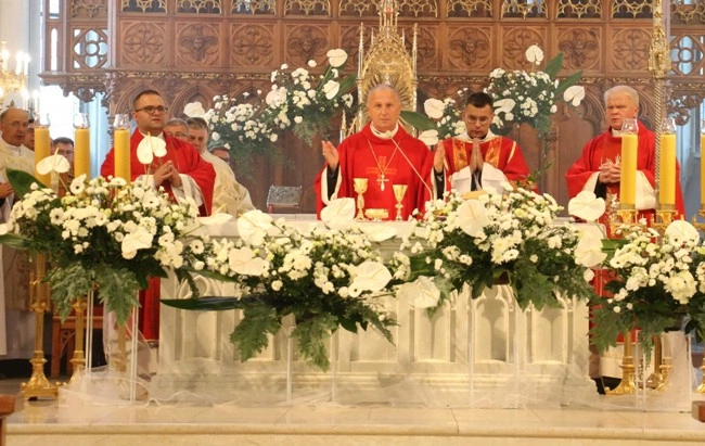 Nowi lektorzy i ceremoniarze