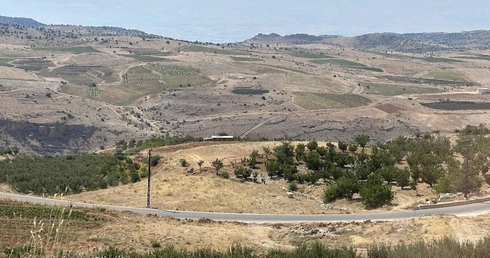 W libańskiej dolinie Bekaa. W tle - góry Antylibanu i już Syria