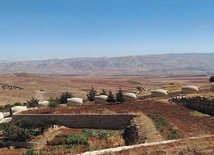 	Żyzna ziemia w dolinie Bekaa.