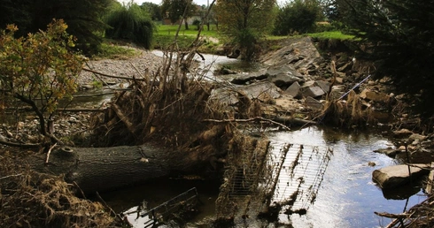 Co potrafi zrobić potok górski? Świdna w Dziewiętlicach