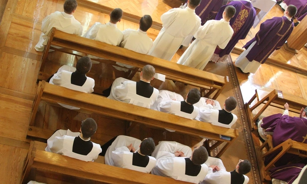 Najnowsze statystyki powołaniowe: 301 nowych kandydatów do kapłaństwa w Polsce, to więcej niż przed rokiem