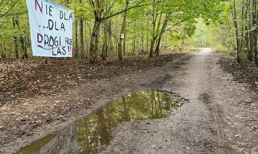 Region. Mieszkańcy nie chcą leśnej drogi łączącej Katowice z Rudą Śląską