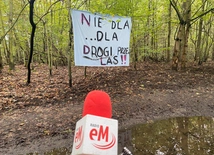 Region. Mieszkańcy nie chcą leśnej drogi łączącej Katowice z Rudą Śląską