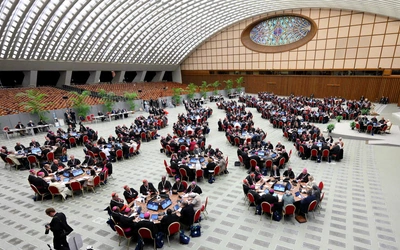 Synod potrzebny, synod niewystarczający