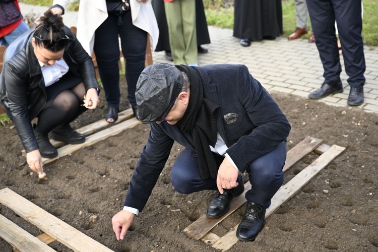 "Pola nadziei" w hospicjum w Darłowie