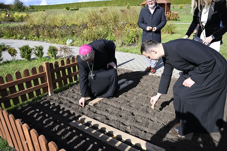 "Pola nadziei" w hospicjum w Darłowie